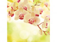 Нежная орхидея - мозаичная картина