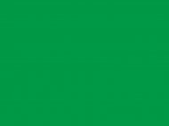 Краска водоразбавляемая зеленая (чистая)