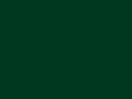 Краска акриловая solvent-based зеленая IJN (Nakajima)