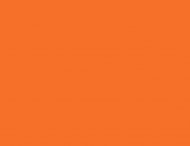 TS-31 Bright Orange (ярко-оранжевая)