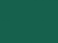 Краска водоразбавляемая темно-зеленая RLM83