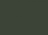 Краска водоразбавляемая темно-зеленая RLM71