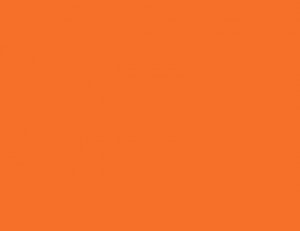 TS-31 Bright Orange (ярко-оранжевая)